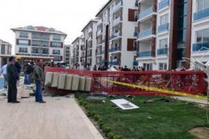 L&uuml;ks sitede vin&ccedil; dehşeti