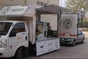 Gemlik zeytini T&uuml;rkiye'yi gezecek