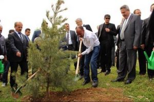 Cezalarını fidan dikerek &ccedil;ektiler