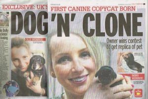 Klonlanan ilk k&ouml;pek d&uuml;nyaya geldi