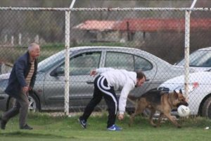 Ma&ccedil;ta sahaya giren k&ouml;pek topu kimseye vermedi