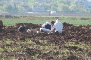 Patlamış havan mermisi bulundu