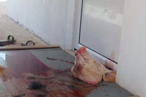 Mescidin &ouml;n&uuml;ne kesik domuz başı attılar