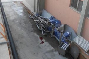 Koah hastasının feci sonu