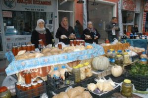 Bursalı k&ouml;yl&uuml; kadınlardan aile b&uuml;t&ccedil;esine katkı