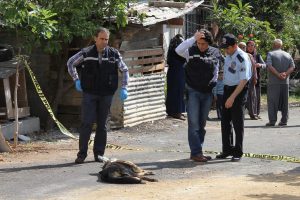 Meslektaşlarına saldıran k&ouml;peği vurdular!