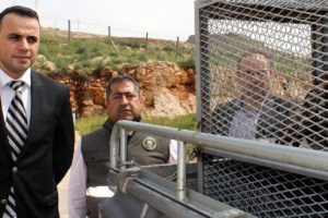 Kanadı kırık yavru kartal bulundu!