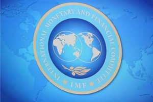 IMF heyeti T&uuml;rkiye'ye geliyor