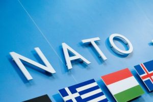 Nato'dan yunus ve denizaslanlı tatbikat