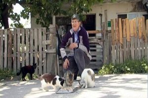 Bursalı &ccedil;ift emekli maaşıyla 50 kediye bakıyorlar