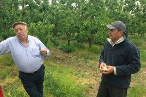 Nisan yağmurları Bursa'nın k&ouml;ylerine can suyu oldu