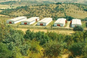 Rende makinesinin i&ccedil;erisinde korkun&ccedil; &ouml;l&uuml;m!