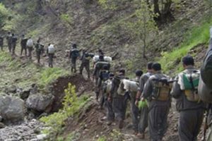 Diyarbakır'da PKK iki kişiyi ka&ccedil;ırdı