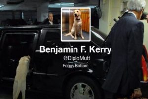 K&ouml;peğinin bile artık Twitter hesabı var!