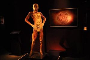 "The human body" ile insana 'derin bakış'