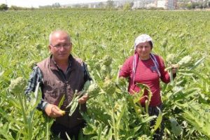 &Ccedil;&ouml;p&uuml; de para ediyor