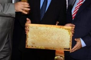 Bir petek narenciye balı 7 bin 500 lira
