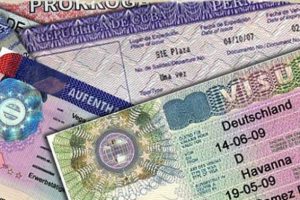Almanya en fazla vizeyi onlara verdi