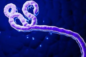 KKTC'de Ebolasız vir&uuml;s paniği