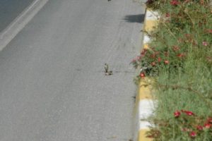 Duygulandıran kare