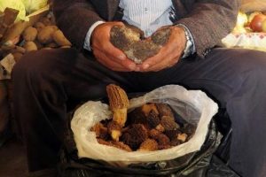 Şifa kaynağı ama fiyatı cep yakıyor