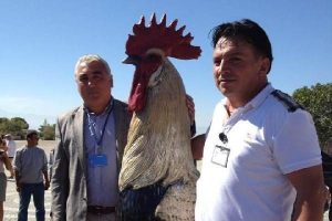 Horoz heykeli ka&ccedil;ak &ccedil;ıktı