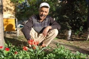 Yabani ağa&ccedil;ları aşılayarak 22 &ccedil;eşit meyve yetiştirdi