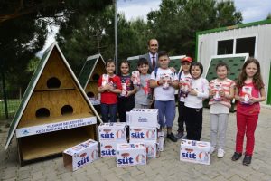 Sokak kedilerine beslenme ve barınma evi