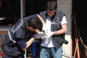 O hırsız parmak izi ile bulunacak
