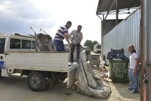 Zabıta 'at ve &ccedil;ek &ccedil;ek'leri topladı