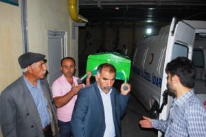 Yağmur yağarken ağacın altına girdiler ama...