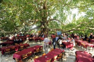 Osmangazi'ye ulusal peyzaj mimarlığı &ouml;d&uuml;l&uuml;