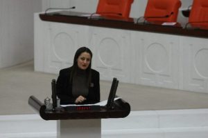 "AB h&uuml;k&uuml;mete değil h&uuml;k&uuml;met AB'ye engel oluyor"
