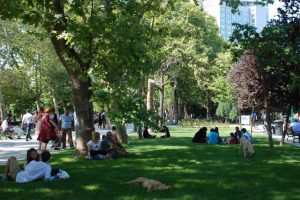 Gezi Parkı'nda g&uuml;venlik &ouml;nlemleri!
