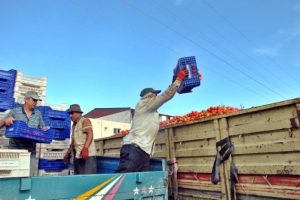 İhracat d&uuml;ş&uuml;nce fiyatı da d&uuml;şt&uuml;