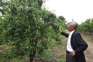 Tayan, doludan zarar g&ouml;ren k&ouml;ylerde incelemelerde bulundu