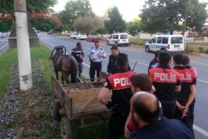 Polis sireninden &uuml;rken at trafiği birbirine kattı
