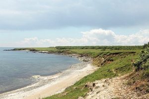 Termik santralda doğa değil 'sosyal baskı' korkusu