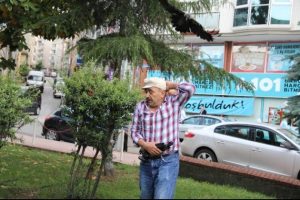 Acılı karga insanlara saldırdı