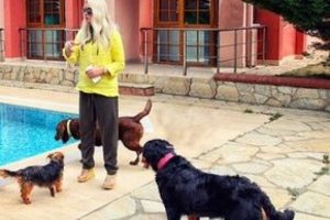K&ouml;peklerini &ouml;zel bir otele emanet etti...