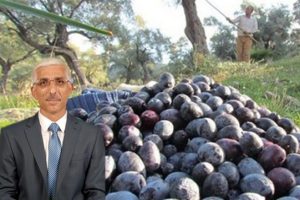 "Y&uuml;zde 55 b&uuml;y&uuml;me ger&ccedil;ekleştirdik"