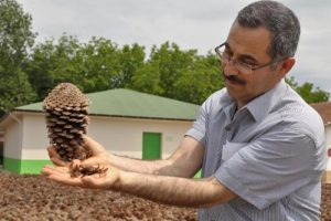 Marmara'nın tohum bankası Bursa'da