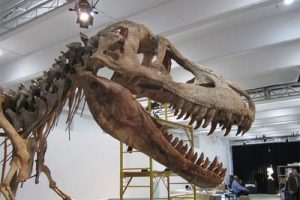 Dinozor ka&ccedil;ak&ccedil;ısına ceza