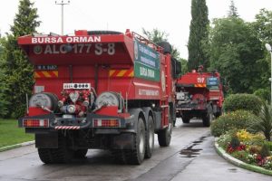 Orman yakan yandı