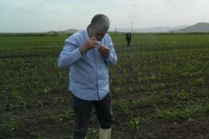 Kırmızı biber &uuml;reticisine uyarı