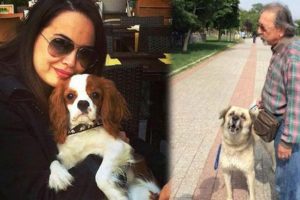 "Max yaralandı, dualarınızı eksik etmeyin"