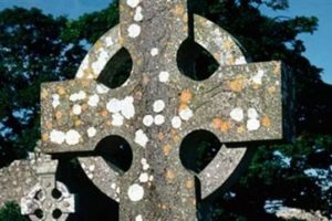 Manastır bah&ccedil;esinden 800 bebek cesedi
