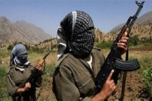 2 PKK'lı teslim oldu