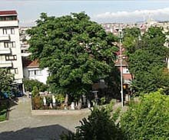 Mahalle halkı tepki g&ouml;sterdi!
