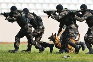 &Ouml;zel Harekat'ta 150 s&uuml;rg&uuml;n
